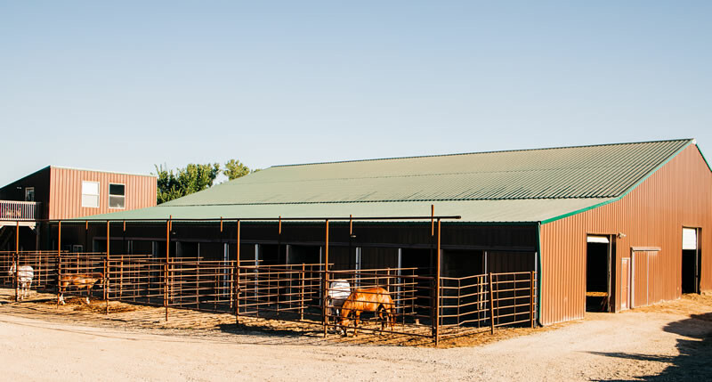 horse boarding and indoor arena at 2UW Brush Creek Ranch